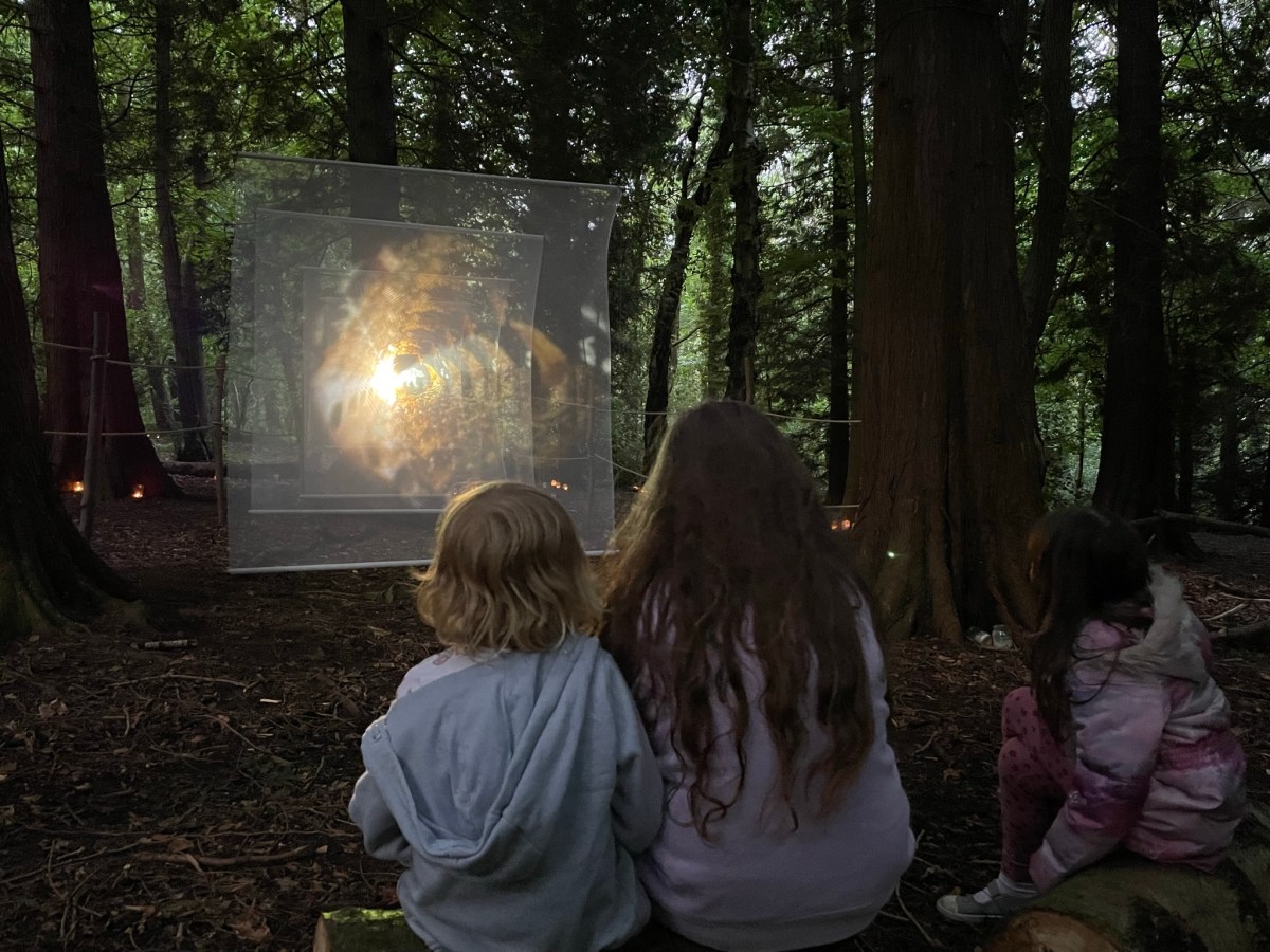 Re-animating Our Connection To&nbsp;Nature