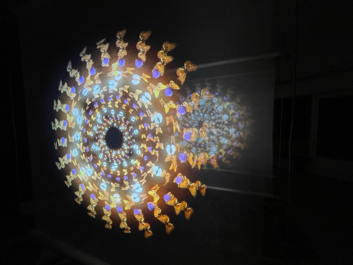 Y Clymau Sy’n Cynnal – The Ties That&nbsp;Bind