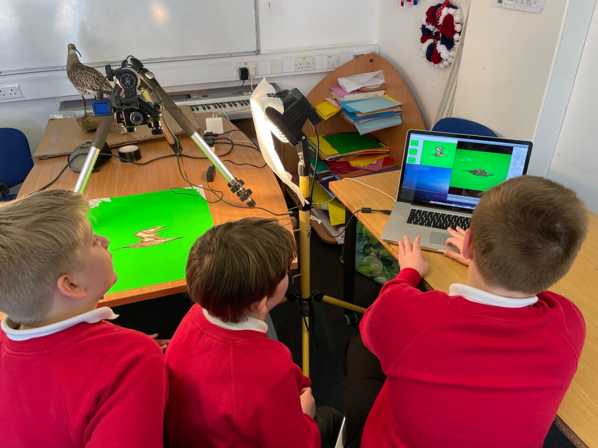 Re-animating the curlew: a ritual of hope and&nbsp;renewal