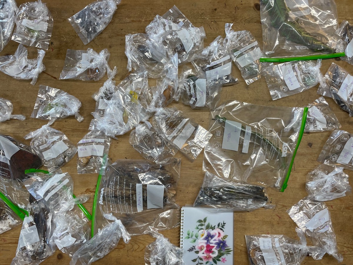 Amgueddfa Carreghofa